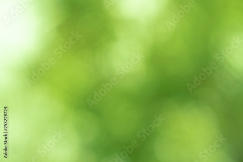 green yellow soft texture background