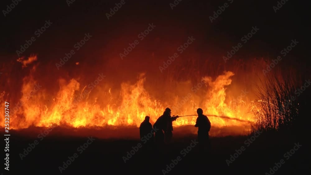 Fire Brigade Firefighters In A Night Field 