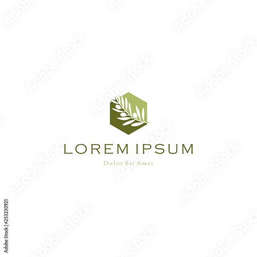 olive oil tree branch logo vector icon illustration