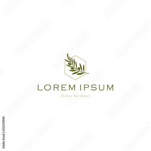 olive oil tree branch logo vector icon illustration