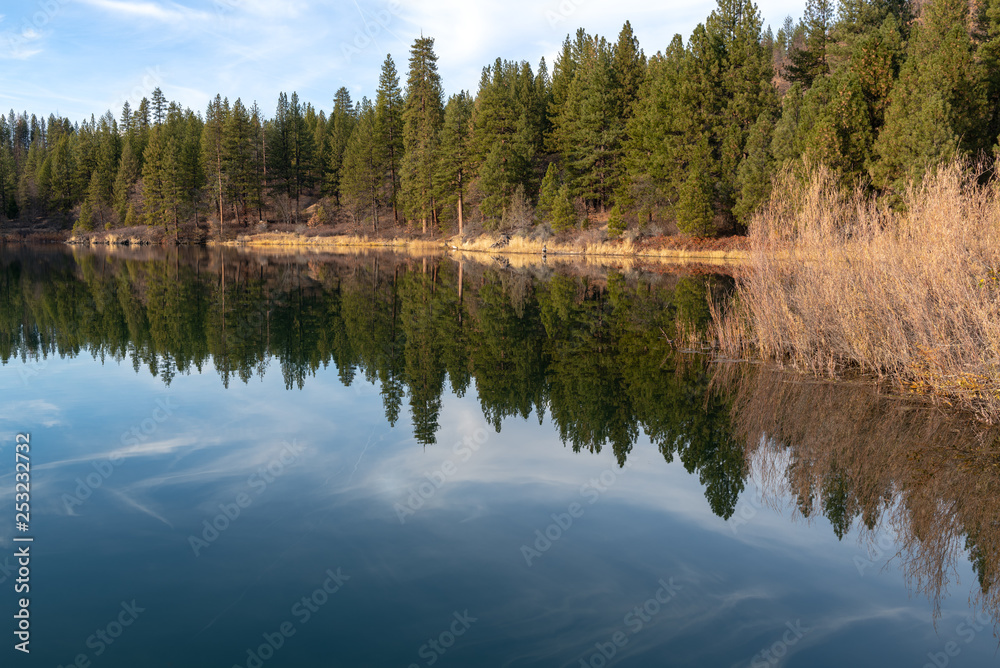 Trees reflected in Lake Britton in McArthur Burney Falls Memorial State Park, California, USA