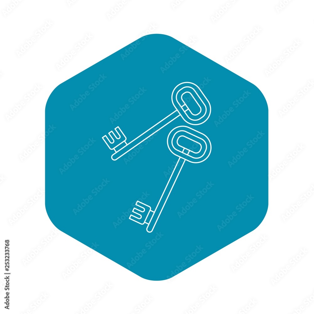 Keys icon. Outline illustration of keys vector icon for web Keys icon. Outline illustration of keys vector icon for web