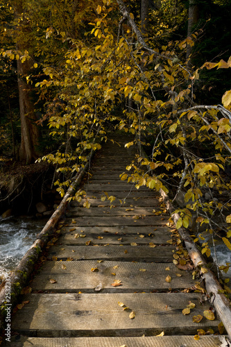 wooden bridge over a mountain river. Autumn, leaves. Yellow trees inmountains. photo