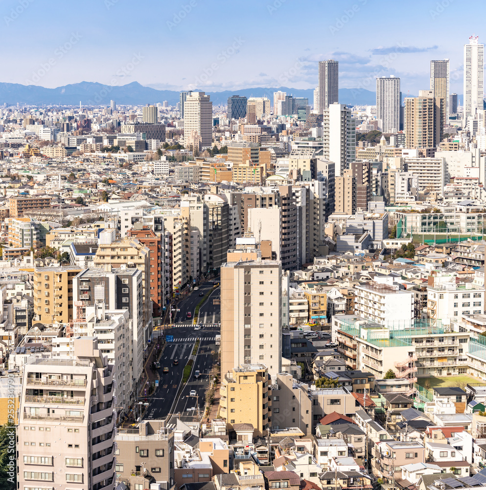 Obraz premium Aerial view Tokyo skyscrapers shinjuku.