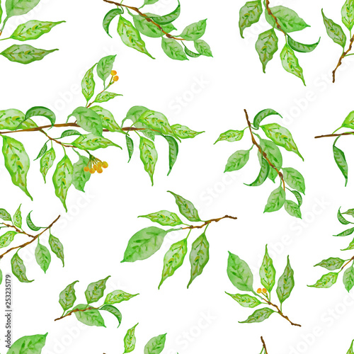 Fresh spring leaves. Handmade seamless pattern. Design element for cover  invitation  booklet  printing. Botanical background  laurel  ficus  tea.