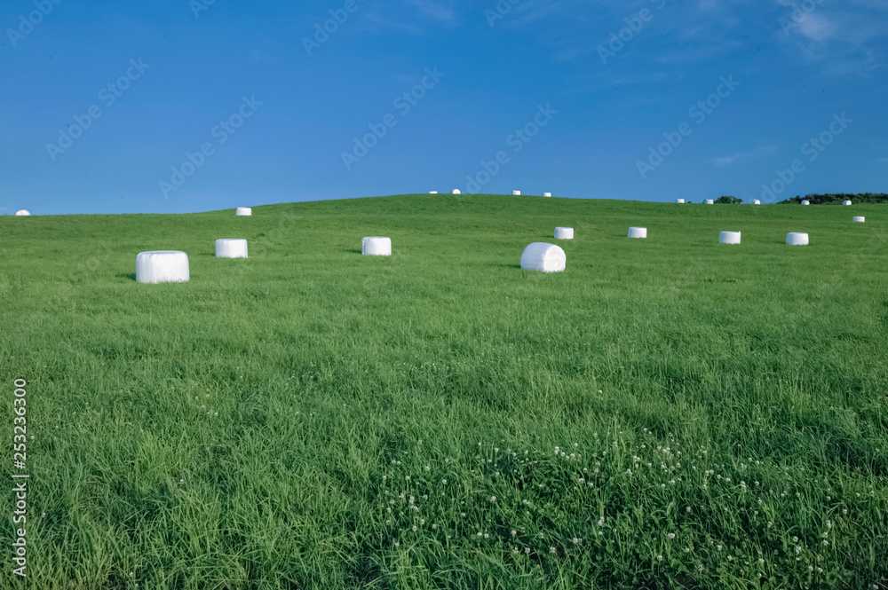 牧草地の干し草ロール北海道stock Photo Adobe Stock