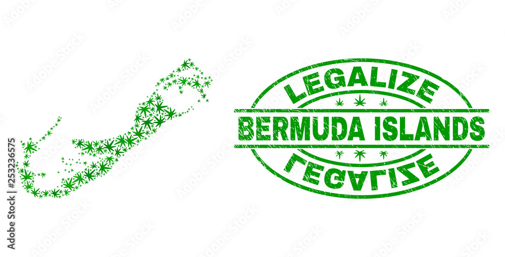 Vector cannabis Bermuda Islands map collage and grunge textured Legalize stamp seal. Concept with green weed leaves. Concept for cannabis legalize campaign.