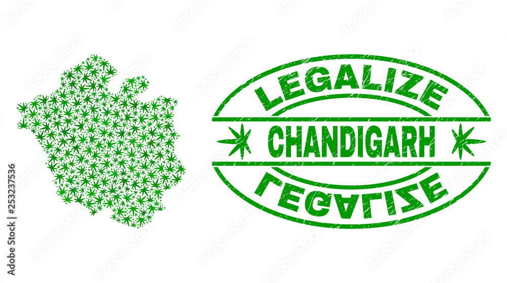 Vector cannabis Chandigarh City map collage and grunge textured Legalize stamp seal. Concept with green weed leaves. Concept for cannabis legalize campaign.