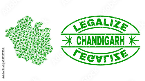 Vector cannabis Chandigarh City map collage and grunge textured Legalize stamp seal. Concept with green weed leaves. Concept for cannabis legalize campaign.