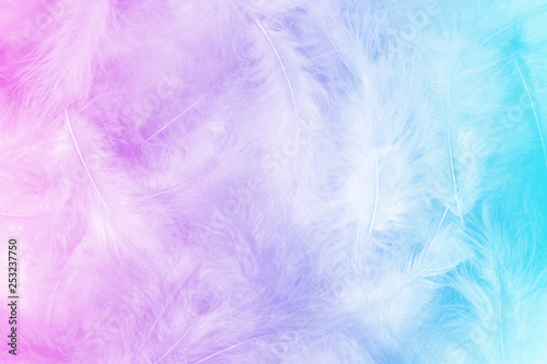 Close up photo of fluffy feathers pile. Sweet pastel colorful background with pink to blue gradient. Light  serenity  purity  clarity.