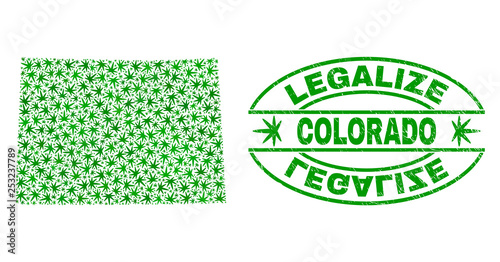 Vector cannabis Colorado State map collage and grunge textured Legalize stamp seal. Concept with green weed leaves. Concept for cannabis legalize campaign.