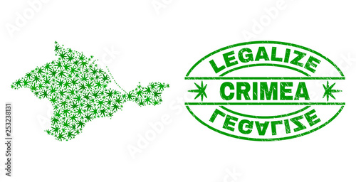Vector marijuana Crimea map mosaic and grunge textured Legalize stamp seal. Concept with green weed leaves. Concept for cannabis legalize campaign. Vector Crimea map is formed with cannabis leaves.