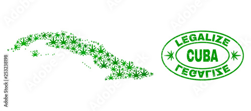 Vector cannabis Cuba map collage and grunge textured Legalize stamp seal. Concept with green weed leaves. Concept for cannabis legalize campaign. Vector Cuba map is organized with cannabis leaves.