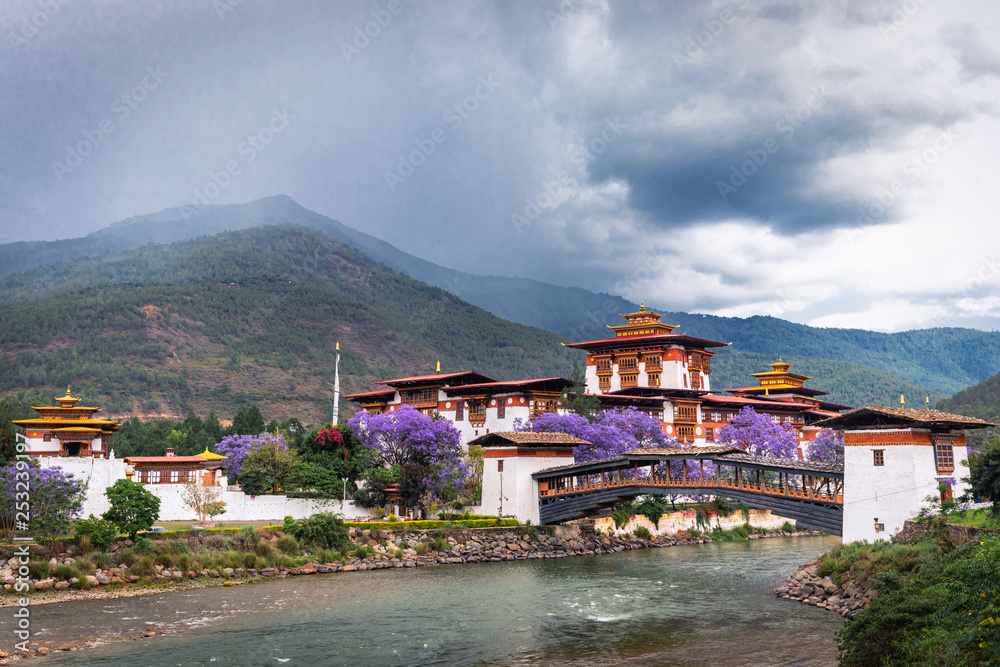 The beautiful Dzong of Punakha shining in the monsoon glory with purple trees to compliment.
