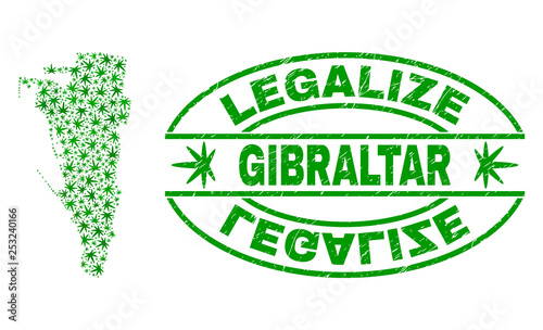 Vector cannabis Gibraltar map mosaic and grunge textured Legalize stamp seal. Concept with green weed leaves. Template for cannabis legalize campaign.