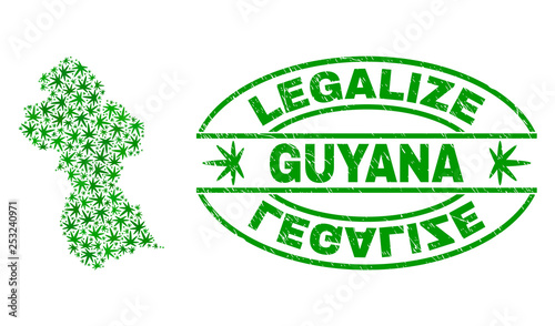 Vector cannabis Guyana map collage and grunge textured Legalize stamp seal. Concept with green weed leaves. Concept for cannabis legalize campaign. Vector Guyana map is composed with marijuana leaves.