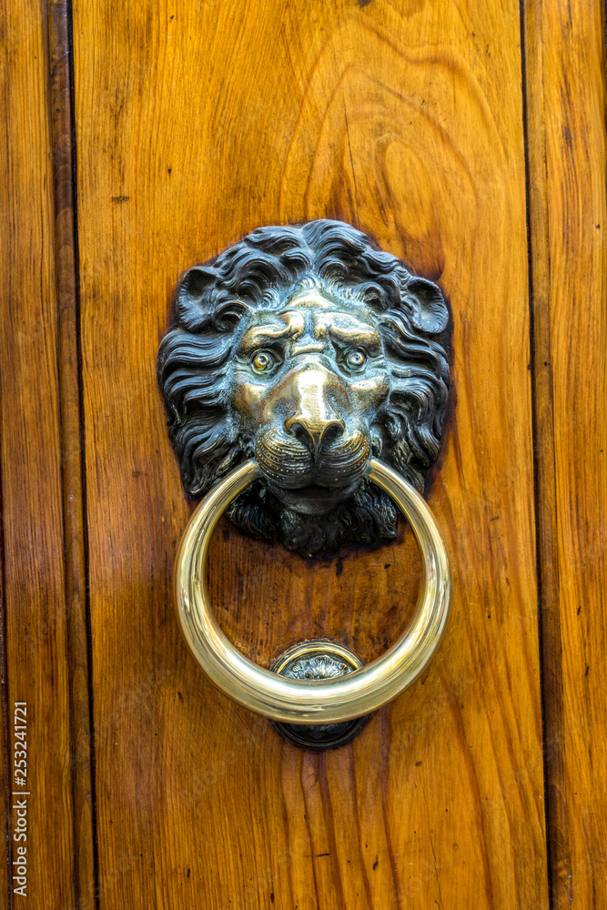 Italy, Rome, Roman Forum, a lion faced door knob
