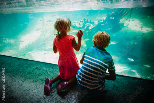 kids -boy and girl -watching fishes in aquarium