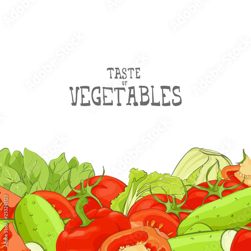 fresh vegetable illustration
