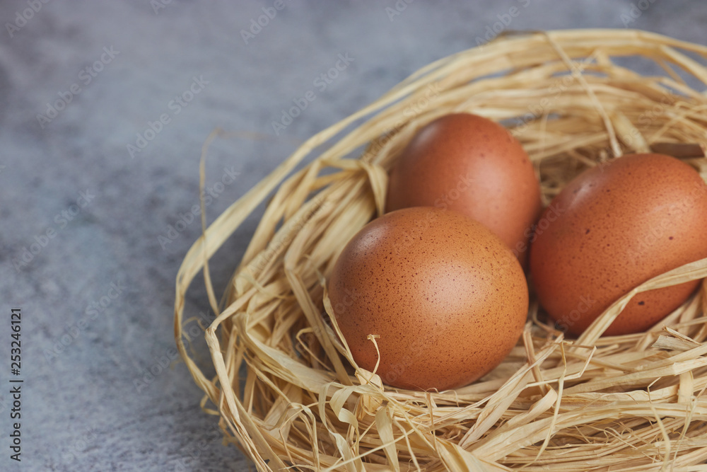 Brown eggs in hay nest on light concrete. fresh farm eggs. horizontal view of raw chicken eggs. The concept of the village. copy space. Brown eggs in hay nest on light concrete. fresh farm eggs. horizontal view of raw chicken eggs. The concept of the village. copy space.