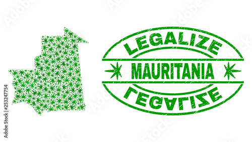 Vector cannabis Mauritania map collage and grunge textured Legalize stamp seal. Concept with green weed leaves. Concept for cannabis legalize campaign.
