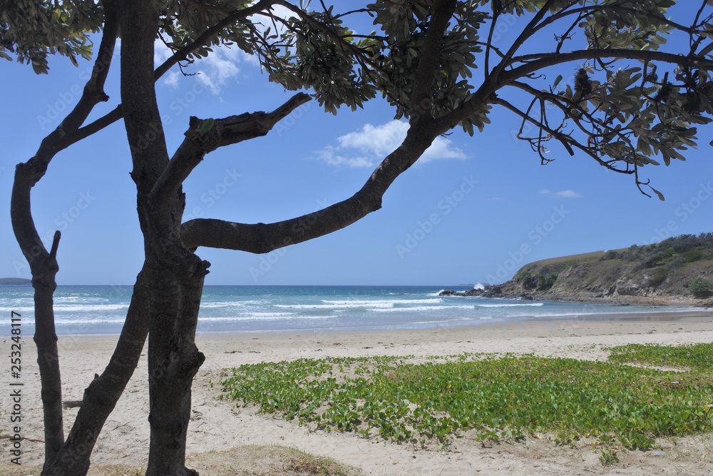 Emerald beach new south wales Australia Emerald beach new south wales Australia
