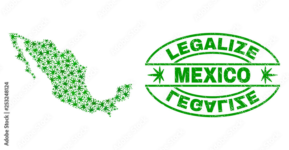 Vector cannabis Mexico map mosaic and grunge textured Legalize stamp seal. Concept with green weed leaves. Concept for cannabis legalize campaign. Vector Mexico map is organized with cannabis leaves.