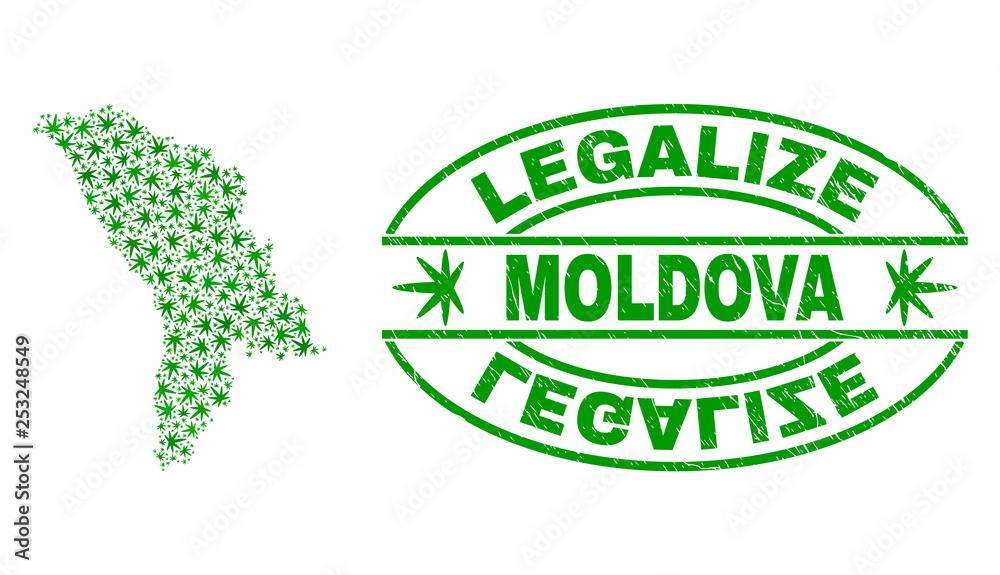 Vector cannabis Moldova map collage and grunge textured Legalize stamp seal. Concept with green weed leaves. Concept for cannabis legalize campaign. Vector Moldova map is composed of weed leaves.