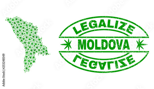 Vector cannabis Moldova map collage and grunge textured Legalize stamp seal. Concept with green weed leaves. Concept for cannabis legalize campaign. Vector Moldova map is composed of weed leaves.