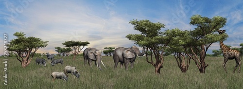 Compilation of various wild animals on African Savanna