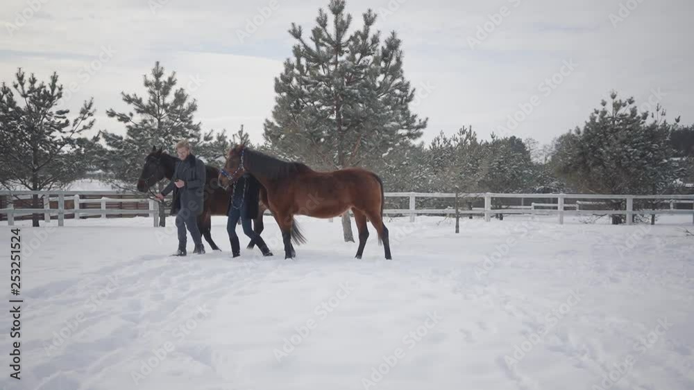 Man and woman leading two brown horses talking at the snow winter ranch. Happy positive couple spend time outdoors at farm. Concept of horse breeding. Slow motion. Man and woman leading two brown horses talking at the snow winter ranch. Happy positive couple spend time outdoors at farm. Concept of horse breeding. Slow motion.