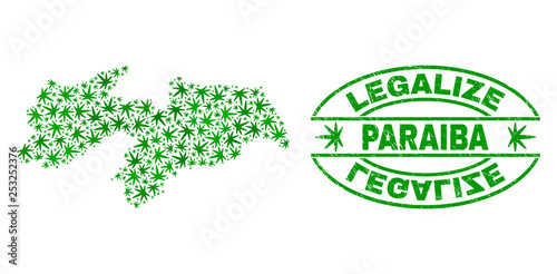 Vector cannabis Paraiba State map collage and grunge textured Legalize stamp seal. Concept with green weed leaves. Concept for cannabis legalize campaign.