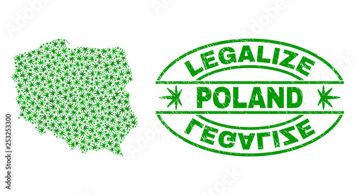 Vector cannabis Poland map mosaic and grunge textured Legalize stamp seal. Concept with green weed leaves. Concept for cannabis legalize campaign.