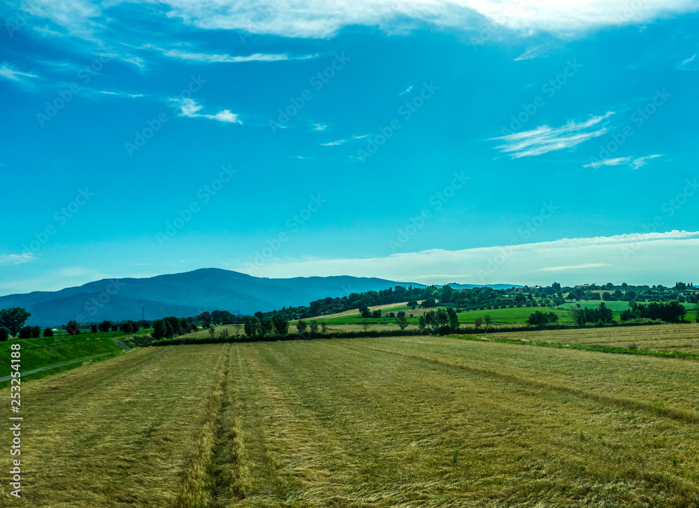 Italy, Rome to Florence train, a large green field with trees in the background