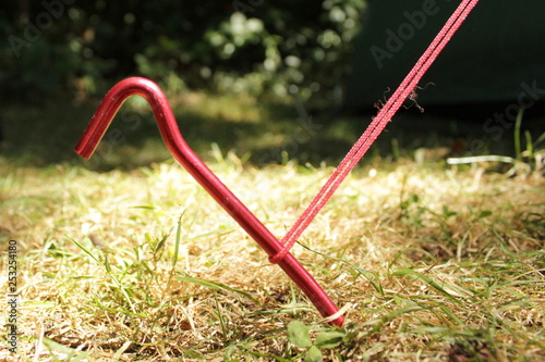 Photos A red tent peg and tent rope, the tent peg is not completely put in the ground