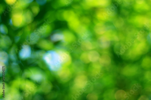 Abstract green bokeh with blurred background.