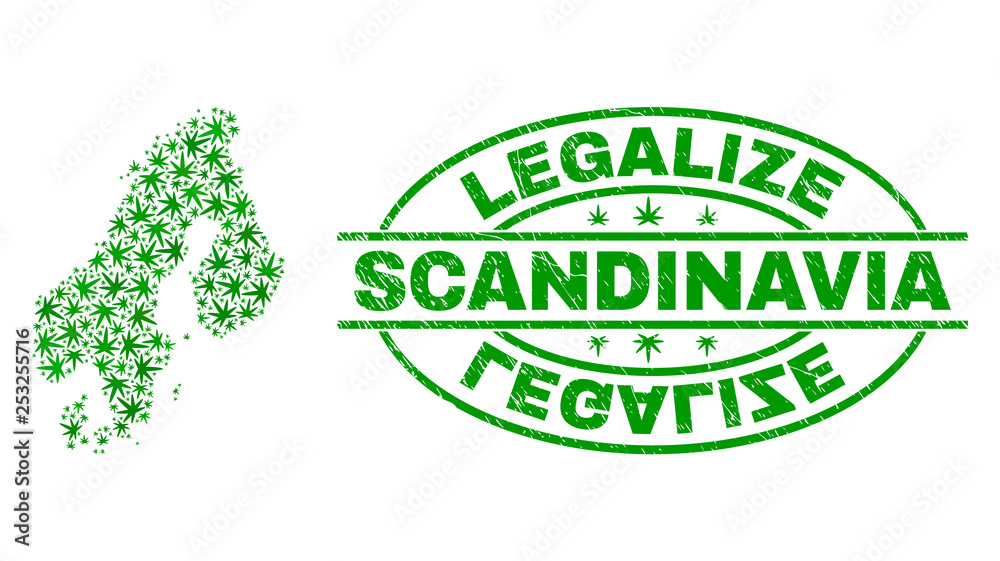 Vector cannabis Scandinavia map mosaic and grunge textured Legalize stamp seal. Concept with green weed leaves. Concept for cannabis legalize campaign.