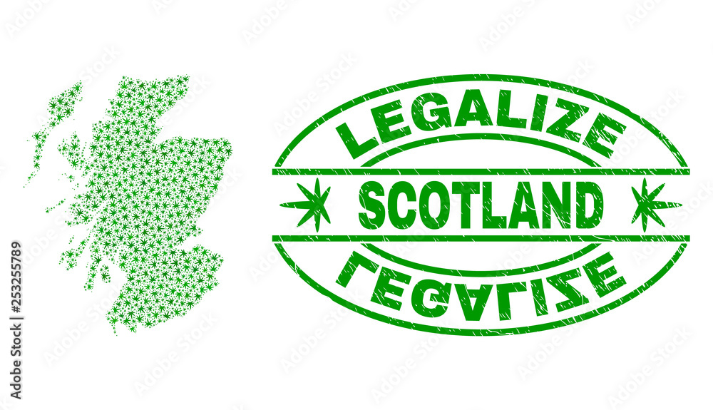 Vector cannabis Scotland map collage and grunge textured Legalize stamp seal. Concept with green weed leaves. Concept for cannabis legalize campaign.