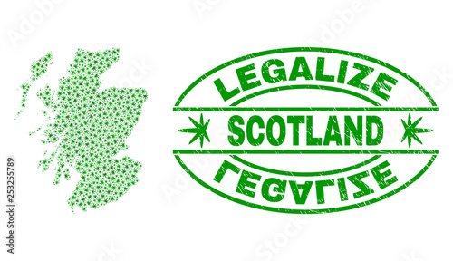 Vector cannabis Scotland map collage and grunge textured Legalize stamp seal. Concept with green weed leaves. Concept for cannabis legalize campaign.