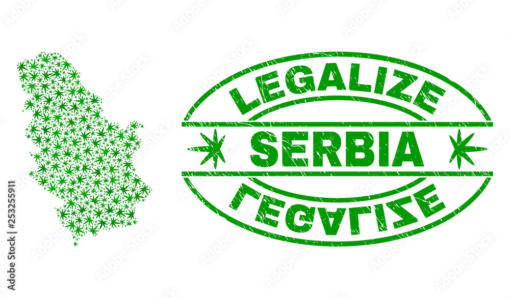 Vector cannabis Serbia map collage and grunge textured Legalize stamp seal. Concept with green weed leaves. Template for cannabis legalize campaign. Vector Serbia map is composed with weed leaves.