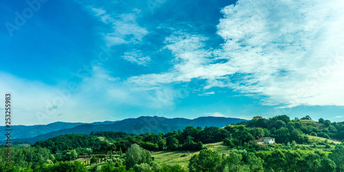 Italy  Rome to Florence train  a tree with a mountain in the background