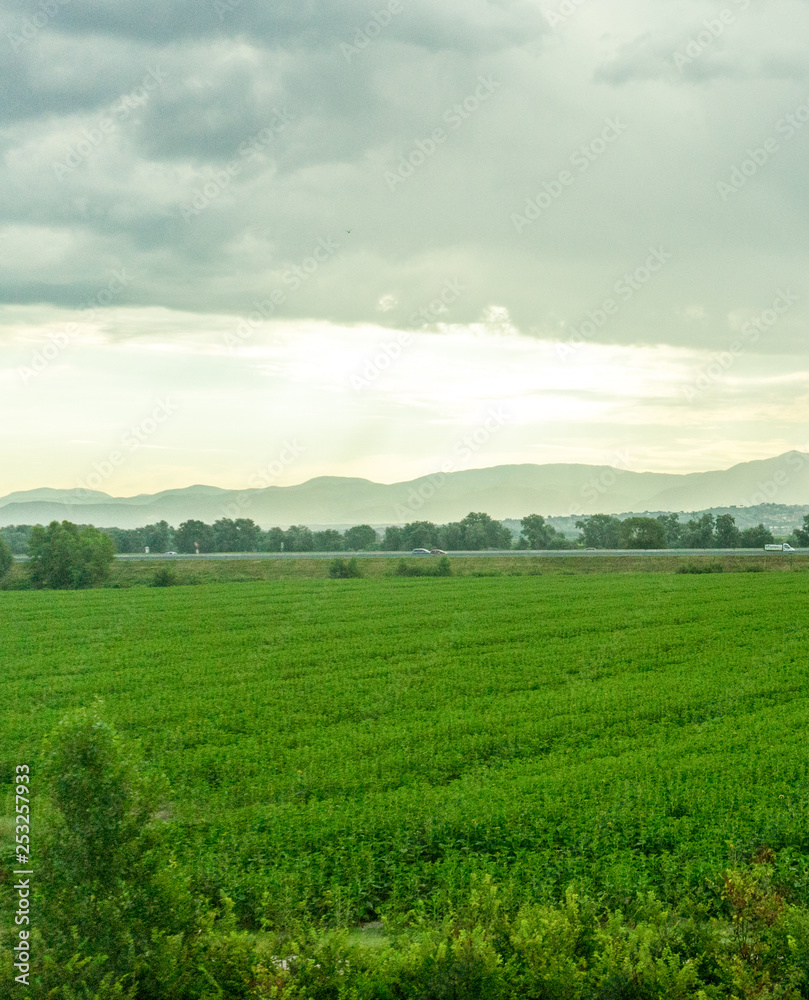 Italy, Rome to Florence train, a large green field with trees in the background Italy, Rome to Florence train, a large green field with trees in the background