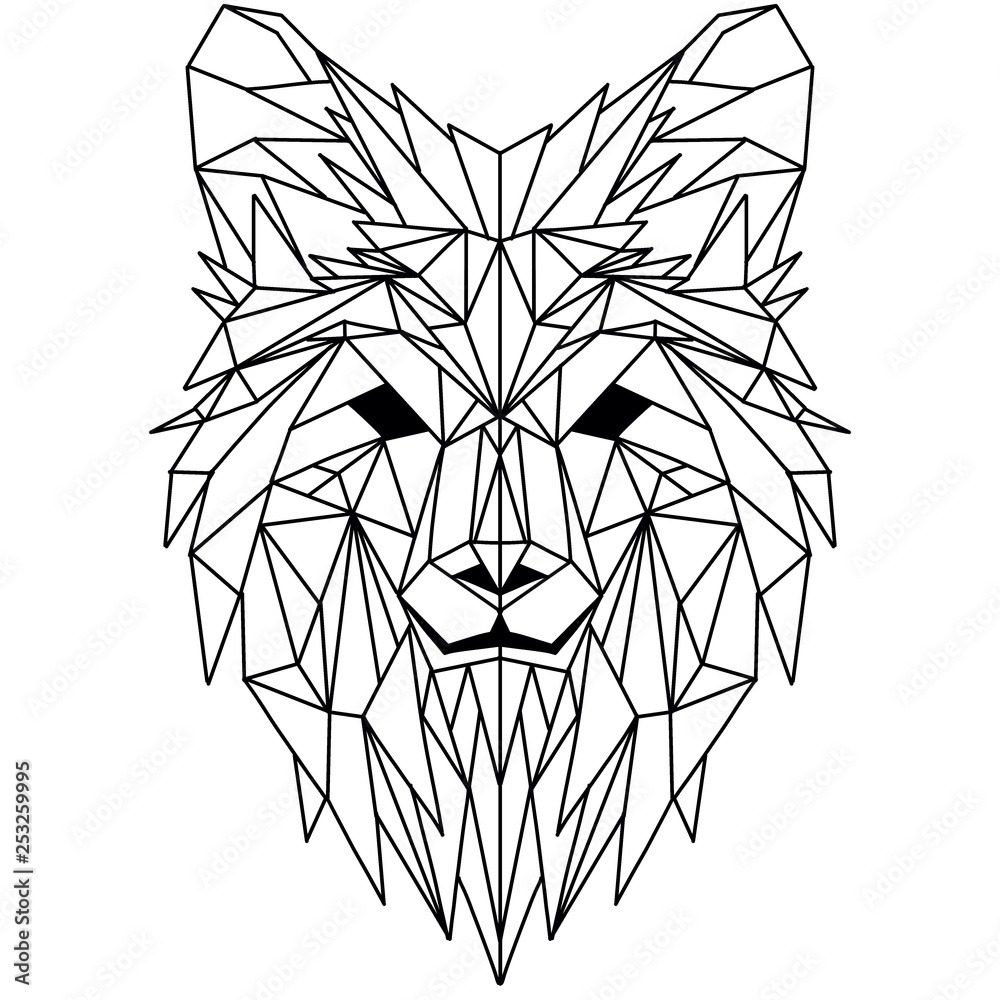 Vector. Polygonal geometric wolf head. Abstract linear isolated wolf - obrazy, fototapety, plakaty 