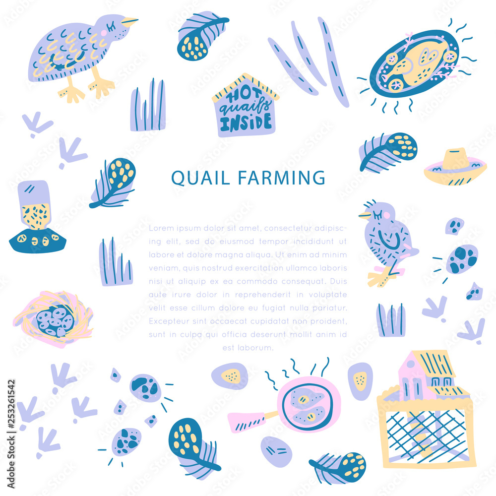 Quail farming hand drawn vector set Quail farming hand drawn vector set