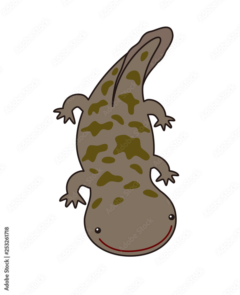 オオサンショウウオ Giant Salamander Stock イラスト Adobe Stock