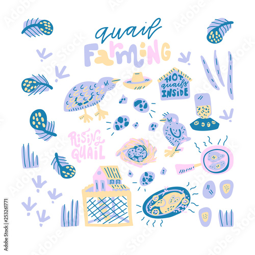 Quail farming hand drawn vector set