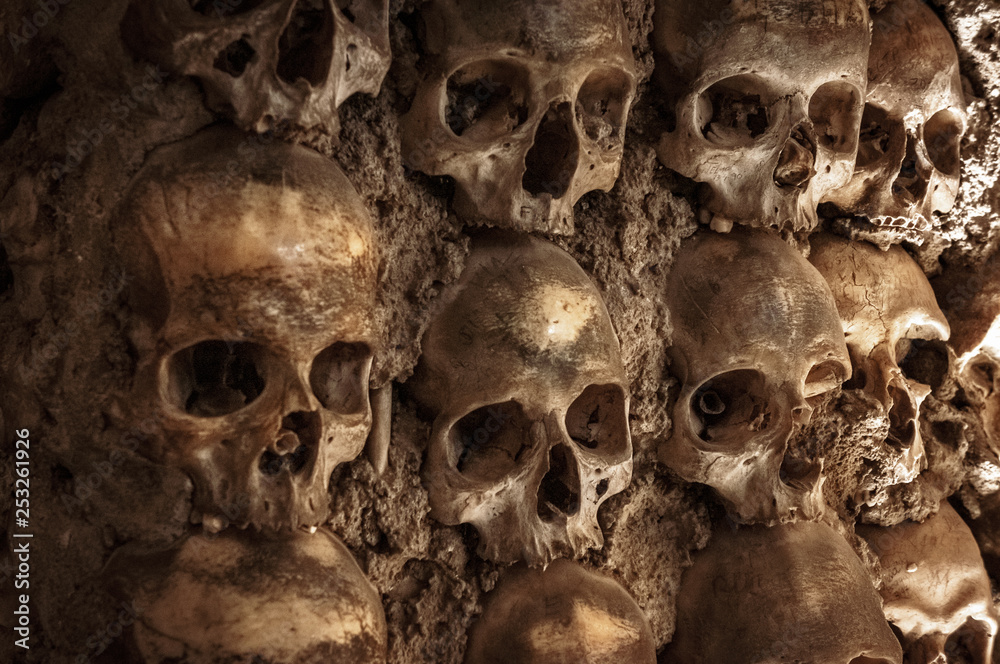 Skull and human bones. Cemetery ancient wall pattern. Horror dark chapel. Death pattern concept. Scary skeleton background. Old catacomb grave full of skulls. Plague tomb Skull and human bones. Cemetery ancient wall pattern. Horror dark chapel. Death pattern concept. Scary skeleton background. Old catacomb grave full of skulls. Plague tomb