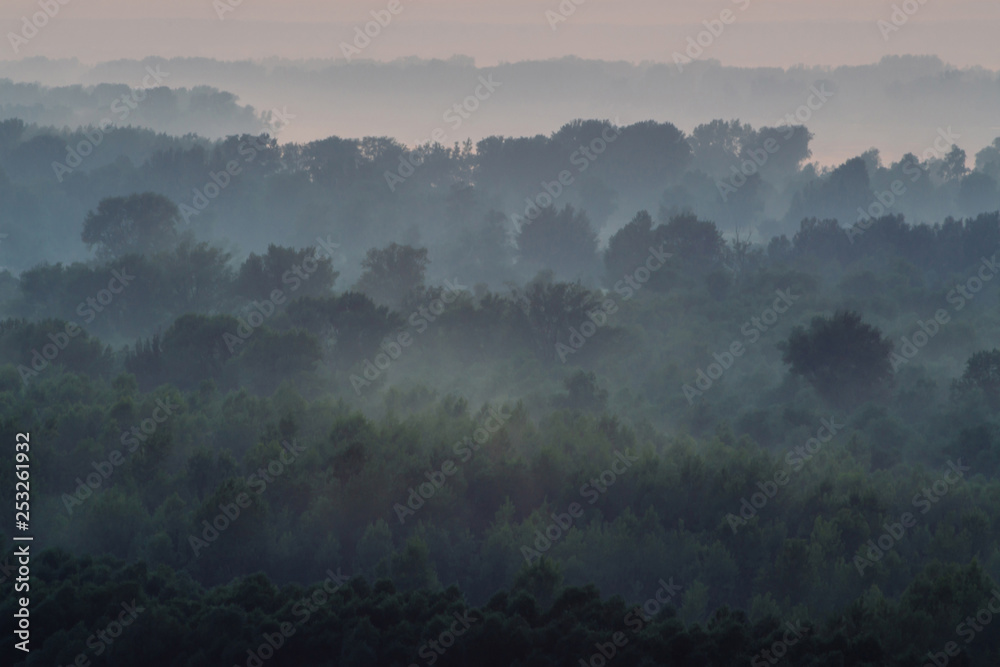 Naklejka premium Mystical view from top on forest under haze at early morning. Mist among layers from tree silhouettes in taiga under warm predawn sky. Morning atmospheric minimalistic landscape of majestic nature.