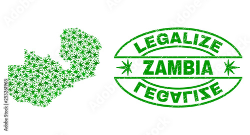 Vector cannabis Zambia map mosaic and grunge textured Legalize stamp seal. Concept with green weed leaves. Concept for cannabis legalize campaign. Vector Zambia map is organized with cannabis leaves.