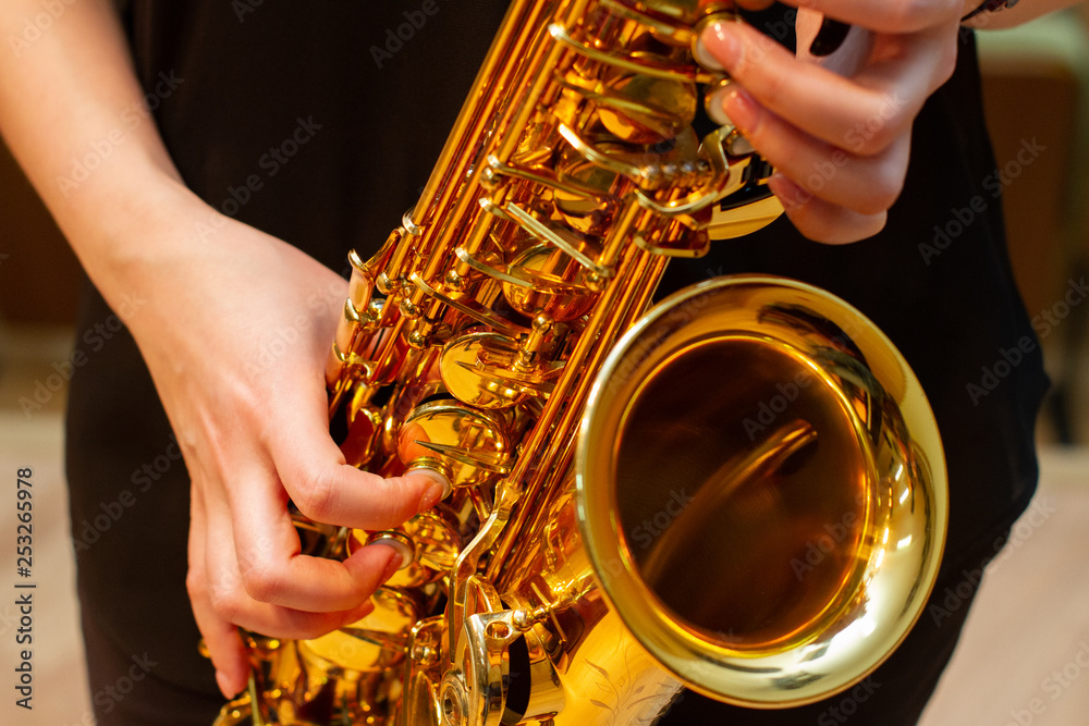 Obraz premium Saxophone player